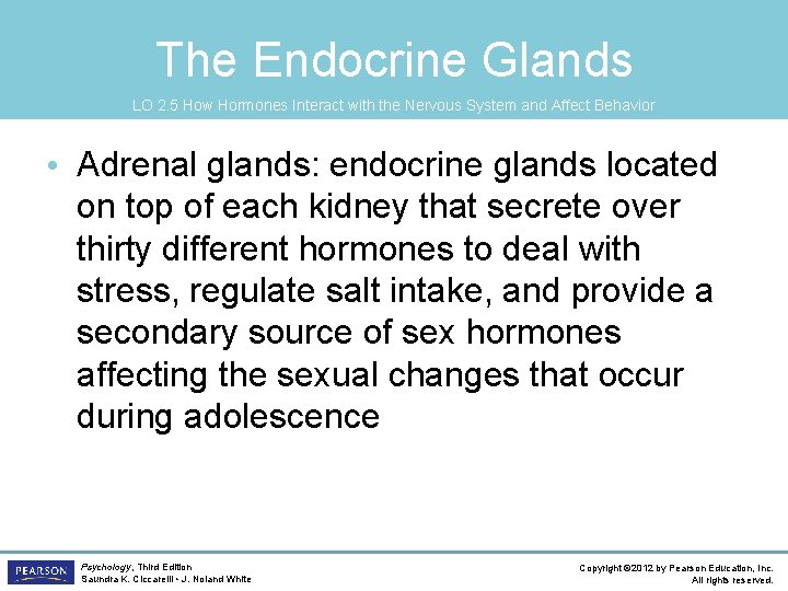 The Endocrine Glands LO 2. 5 How Hormones Interact with the Nervous System and