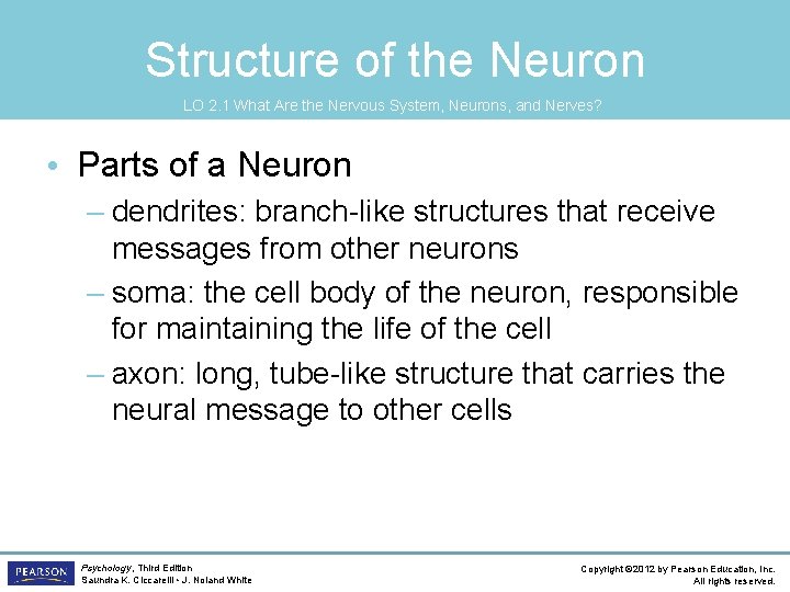 Structure of the Neuron LO 2. 1 What Are the Nervous System, Neurons, and