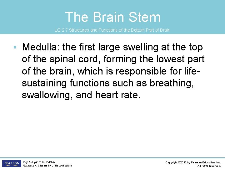 The Brain Stem LO 2. 7 Structures and Functions of the Bottom Part of