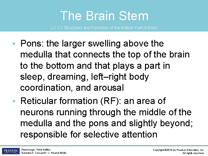 The Brain Stem LO 2. 7 Structures and Functions of the Bottom Part of