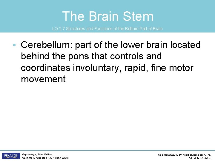 The Brain Stem LO 2. 7 Structures and Functions of the Bottom Part of