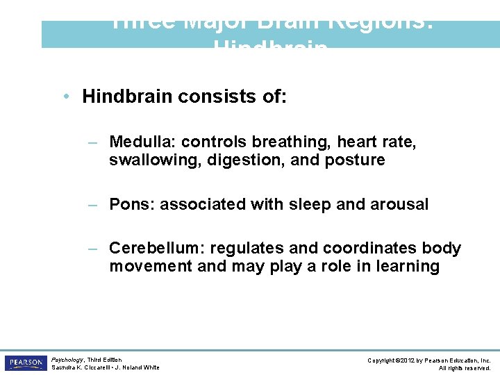 Three Major Brain Regions: Hindbrain • Hindbrain consists of: – Medulla: controls breathing, heart