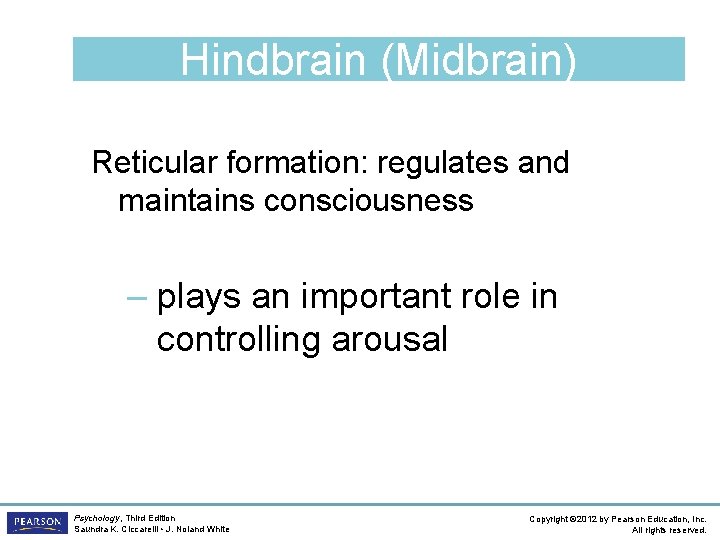 Hindbrain (Midbrain) Reticular formation: regulates and maintains consciousness – plays an important role in