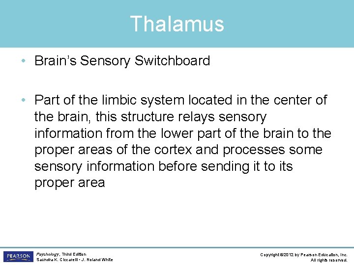 Thalamus • Brain’s Sensory Switchboard • Part of the limbic system located in the