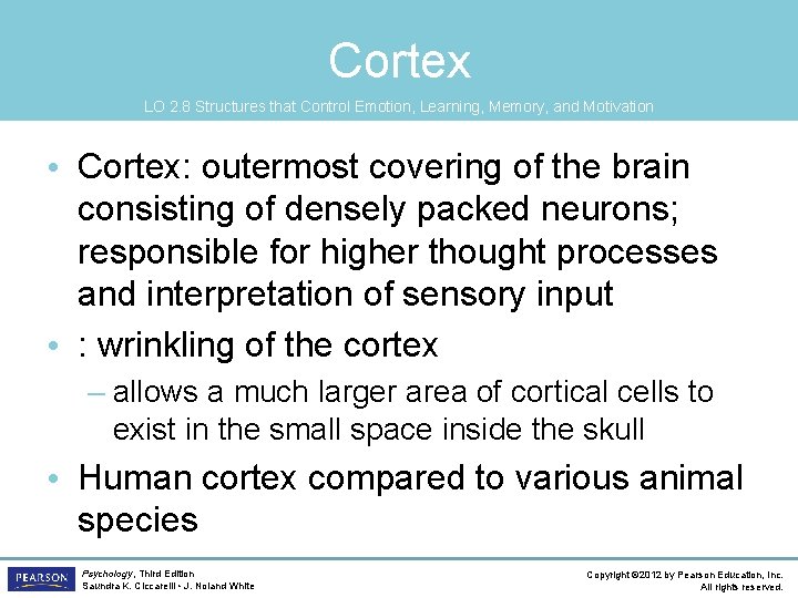 Cortex LO 2. 8 Structures that Control Emotion, Learning, Memory, and Motivation • Cortex: