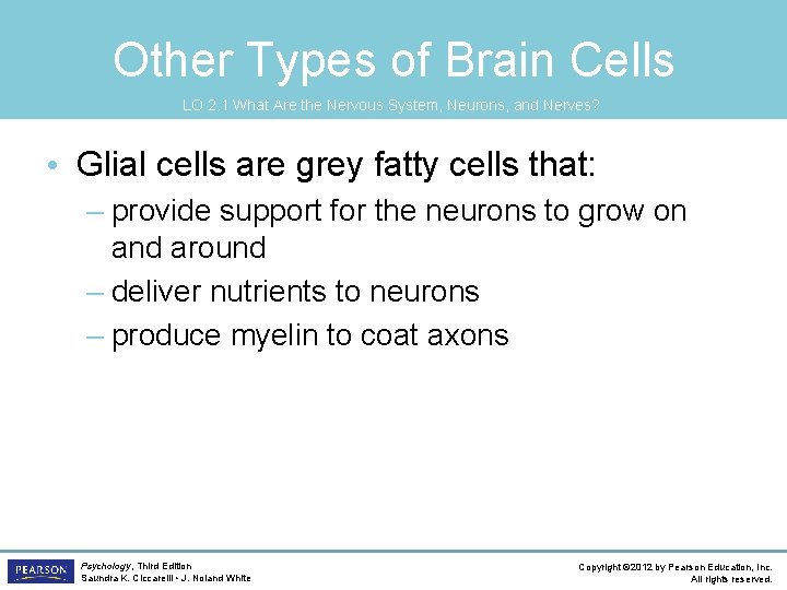 Other Types of Brain Cells LO 2. 1 What Are the Nervous System, Neurons,