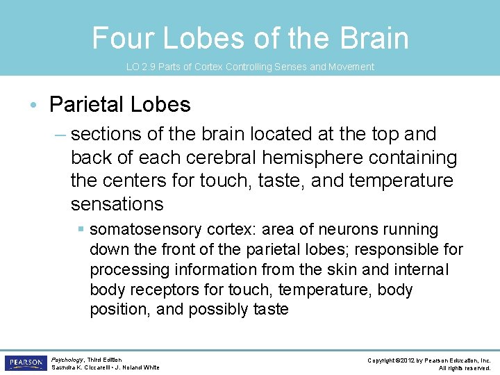Four Lobes of the Brain LO 2. 9 Parts of Cortex Controlling Senses and