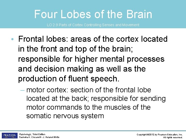 Four Lobes of the Brain LO 2. 9 Parts of Cortex Controlling Senses and