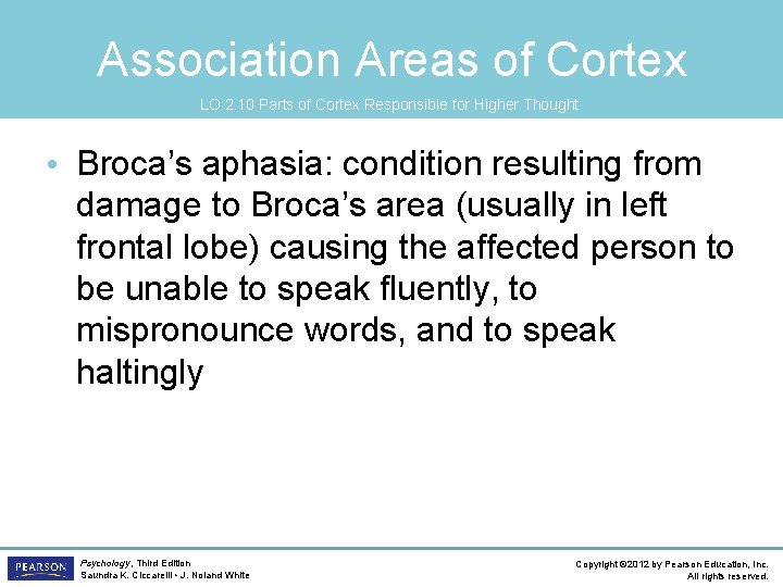 Association Areas of Cortex LO 2. 10 Parts of Cortex Responsible for Higher Thought