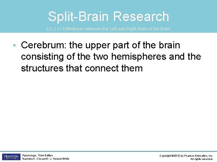 Split-Brain Research LO 2. 11 Differences between the Left and Right Sides of the