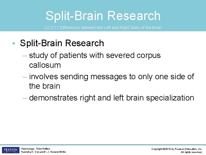 Split-Brain Research LO 2. 11 Differences between the Left and Right Sides of the