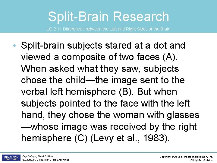 Split-Brain Research LO 2. 11 Differences between the Left and Right Sides of the
