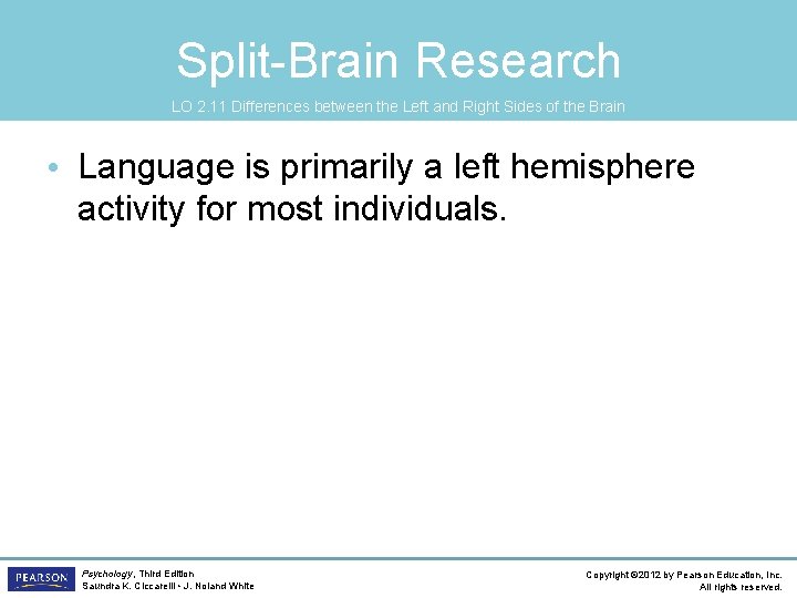 Split-Brain Research LO 2. 11 Differences between the Left and Right Sides of the