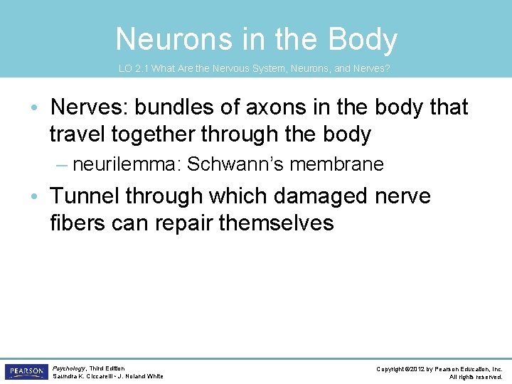 Neurons in the Body LO 2. 1 What Are the Nervous System, Neurons, and