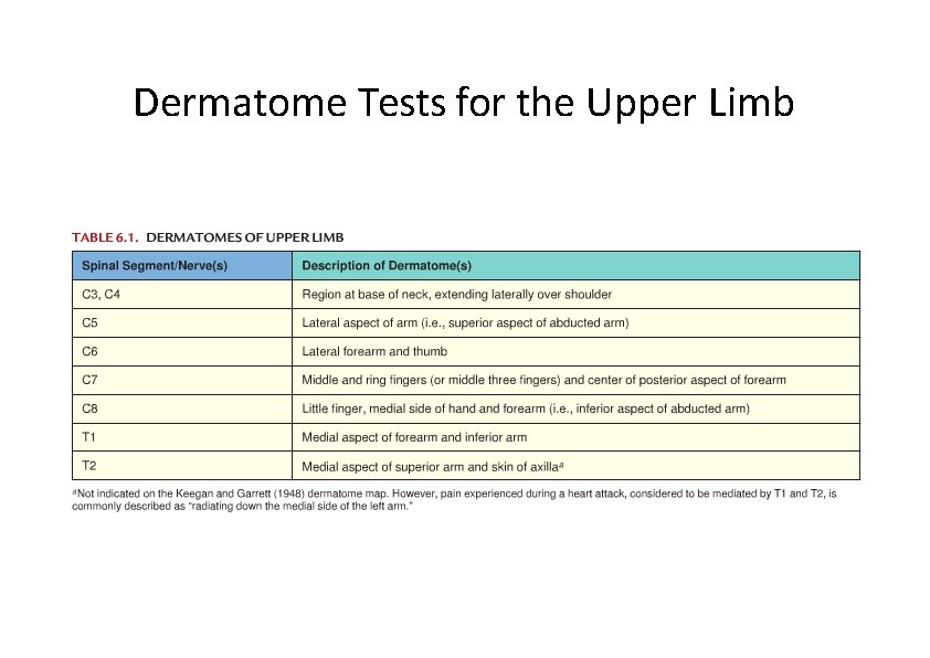 Dermatome Tests for the Upper Limb 