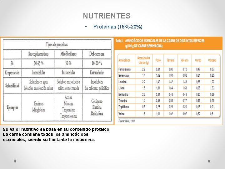 NUTRIENTES • Proteínas (15%-20%) Su valor nutritivo se basa en su contenido proteico La