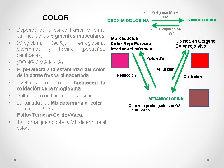 COLOR • • • DEOXIMIOGLOBINA Oxigenación + O 2 OXIMIOGLOBINA • Oxigenación Depende de