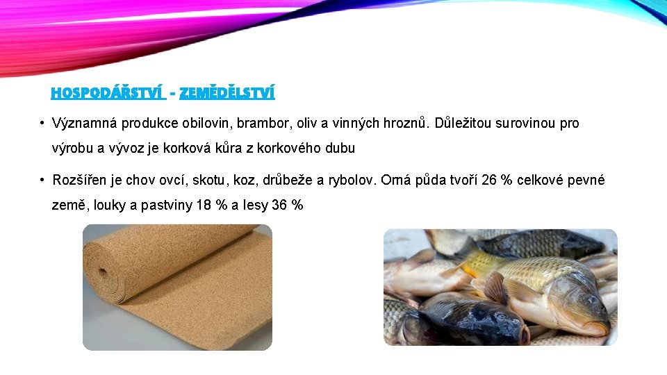 HOSPODÁŘSTVÍ - ZEMĚDĚLSTVÍ • Významná produkce obilovin, brambor, oliv a vinných hroznů. Důležitou surovinou