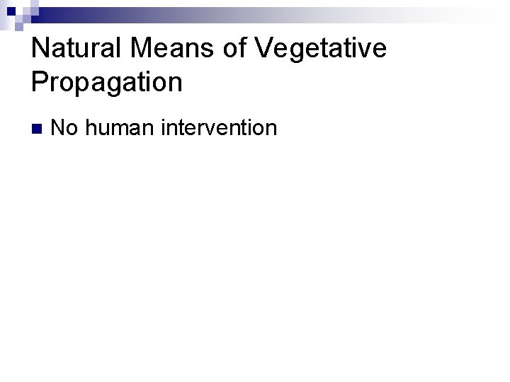 Natural Means of Vegetative Propagation n No human intervention 