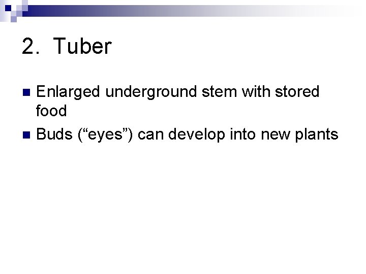 2. Tuber Enlarged underground stem with stored food n Buds (“eyes”) can develop into