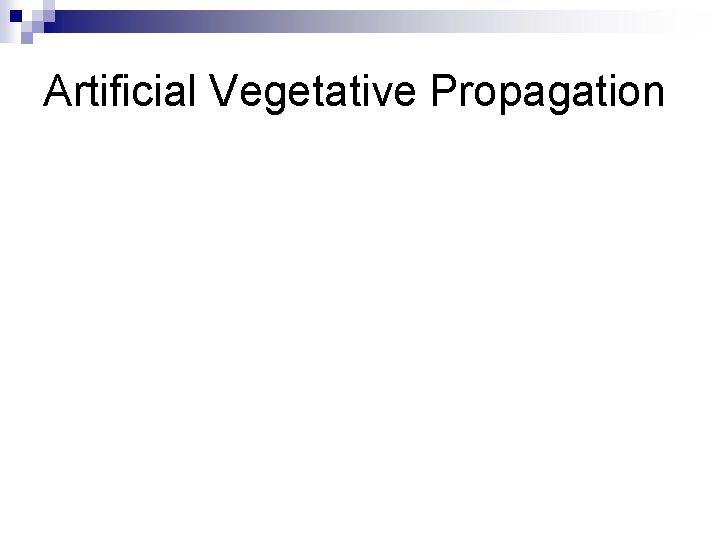 Artificial Vegetative Propagation 