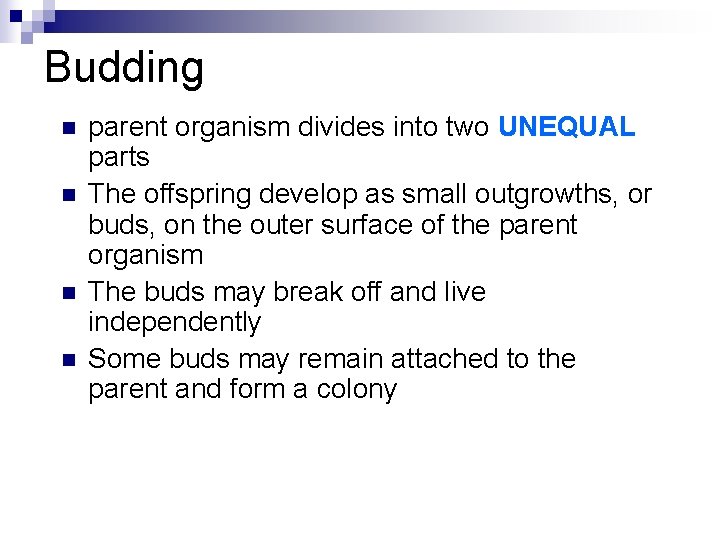 Budding n n parent organism divides into two UNEQUAL parts The offspring develop as