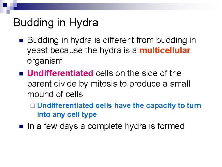 Budding in Hydra n n Budding in hydra is different from budding in yeast