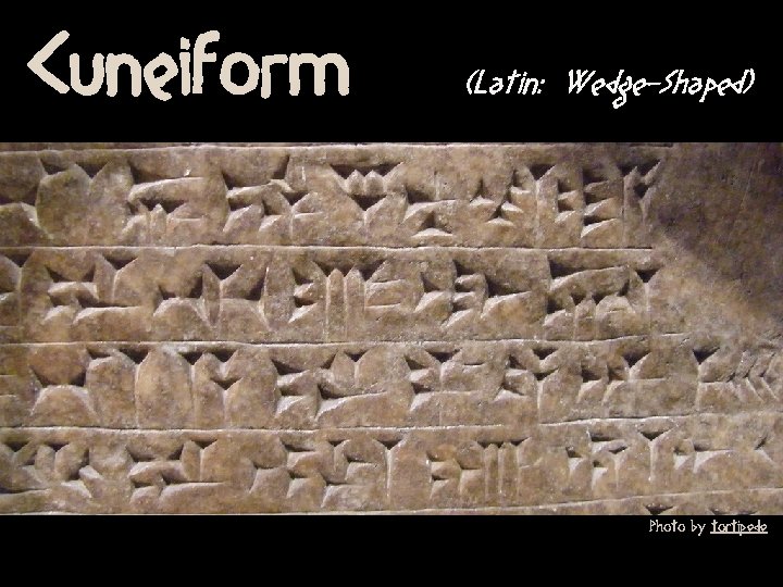 Cuneiform (Latin: Wedge-Shaped) Photo by tortipede 