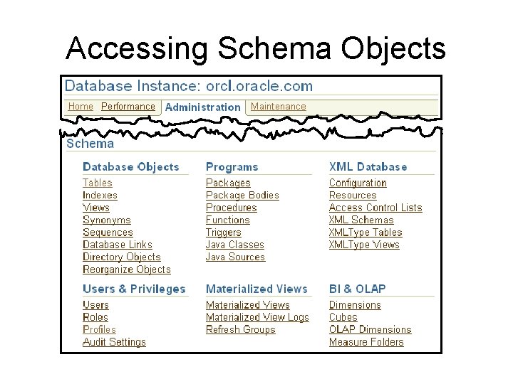 Accessing Schema Objects 