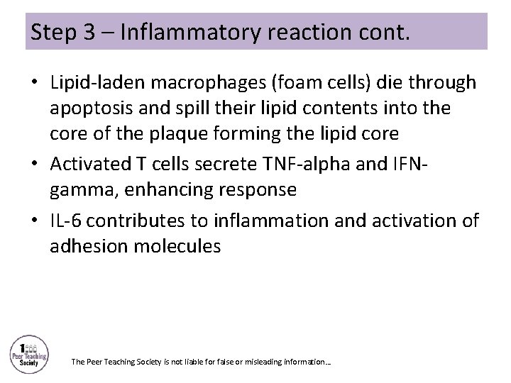 Step 3 – Inflammatory reaction cont. • Lipid-laden macrophages (foam cells) die through apoptosis