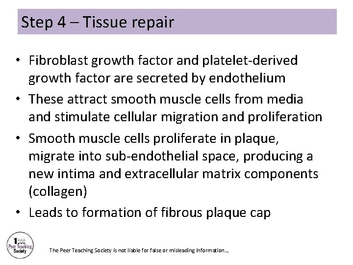 Step 4 – Tissue repair • Fibroblast growth factor and platelet-derived growth factor are