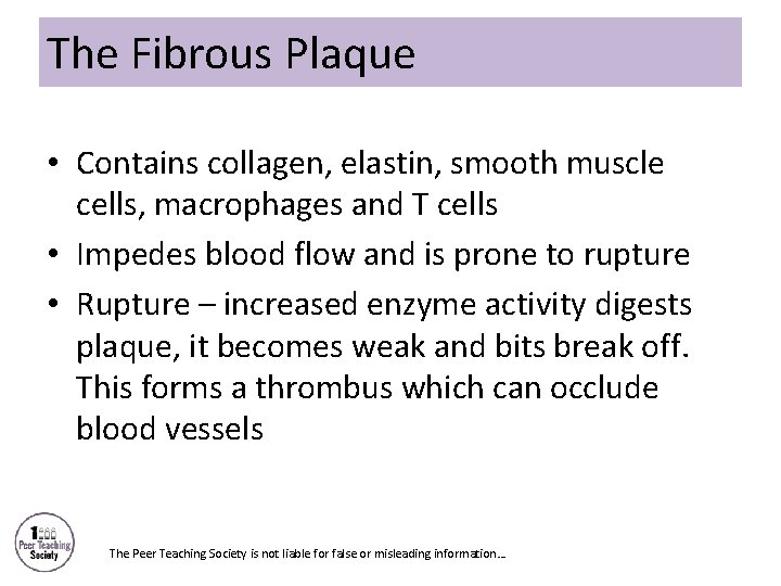 The Fibrous Plaque • Contains collagen, elastin, smooth muscle cells, macrophages and T cells