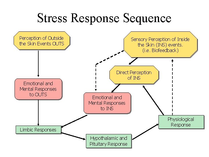 Stress Response Sequence Perception of Outside the Skin Events OUTS Emotional and Mental Responses
