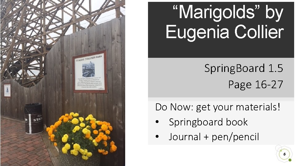 “Marigolds” by Eugenia Collier Spring. Board 1. 5 Page 16 -27 Do Now: get