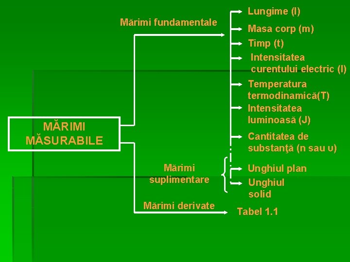 Mărimi fundamentale Lungime (l) Masa corp (m) Timp (t) Intensitatea curentului electric (I) Temperatura