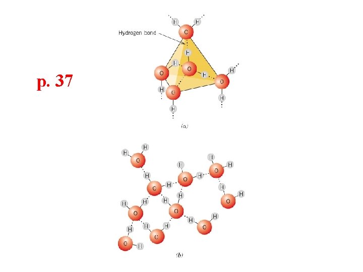 p. 37 