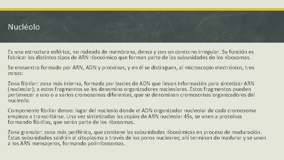 Nucléolo Es una estructura esférica, no rodeada de membrana, densa y con un contorno