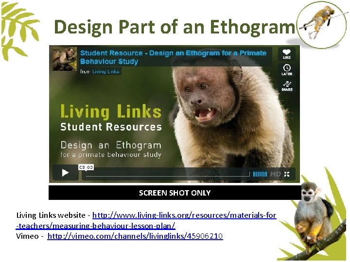Design Part of an Ethogram SCREEN SHOT ONLY Living Links website - http: //www. Design Part of an Ethogram SCREEN SHOT ONLY Living Links website - http: //www.