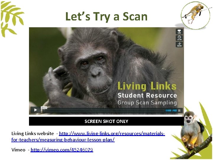 Let’s Try a Scan SCREEN SHOT ONLY Living Links website - http: //www. living-links. Let’s Try a Scan SCREEN SHOT ONLY Living Links website - http: //www. living-links.