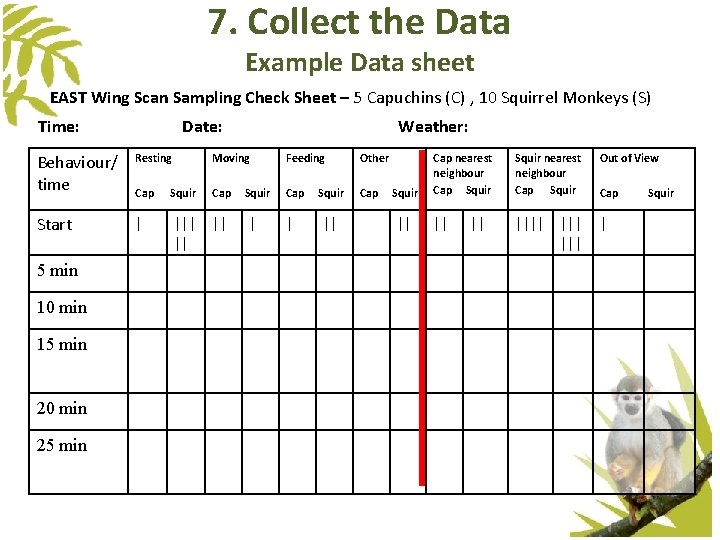 7. Collect the Data Example Data sheet EAST Wing Scan Sampling Check Sheet – 7. Collect the Data Example Data sheet EAST Wing Scan Sampling Check Sheet –
