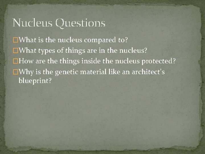 Nucleus Questions �What is the nucleus compared to? �What types of things are in