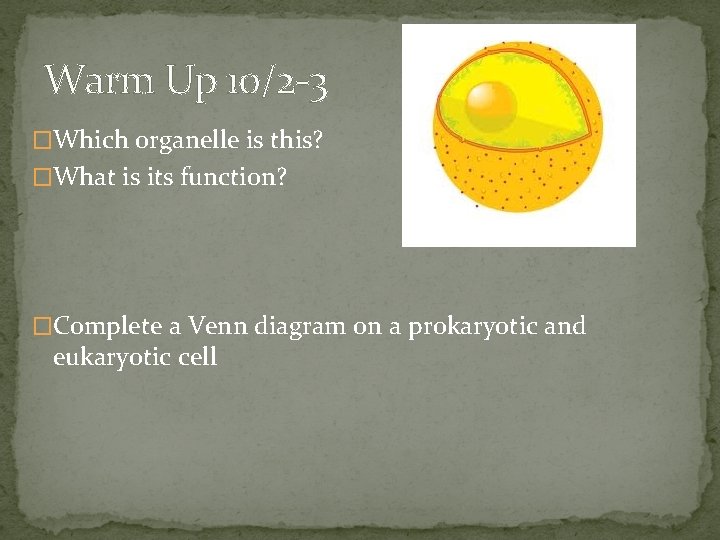Warm Up 10/2 -3 �Which organelle is this? �What is its function? �Complete a