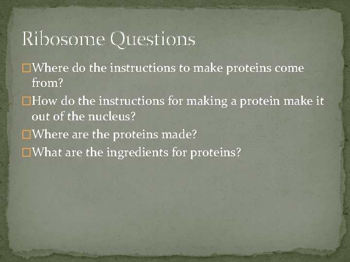 Ribosome Questions �Where do the instructions to make proteins come from? �How do the