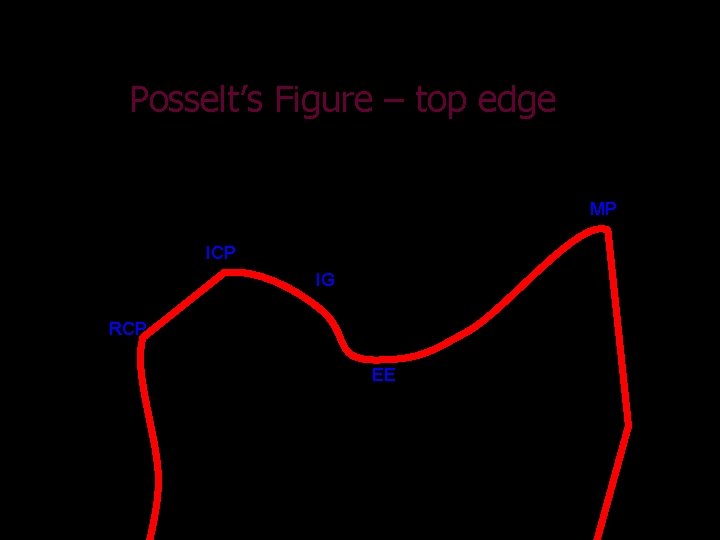 Posselt’s Figure – top edge MP ICP IG RCP EE 