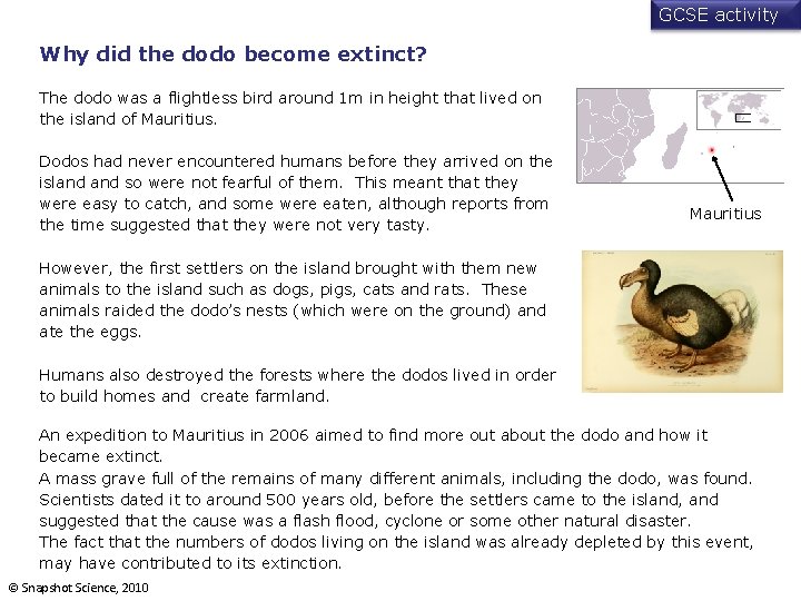 GCSE activity Why did the dodo become extinct? The dodo was a flightless bird