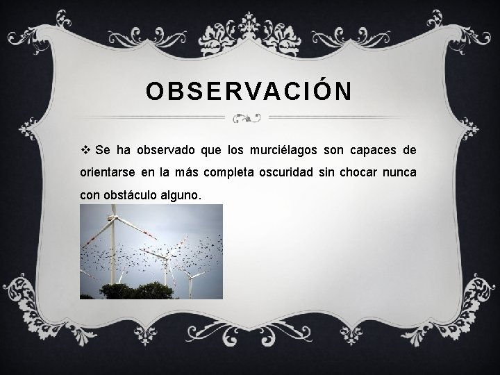 OBSERVACIÓN v Se ha observado que los murciélagos son capaces de orientarse en la