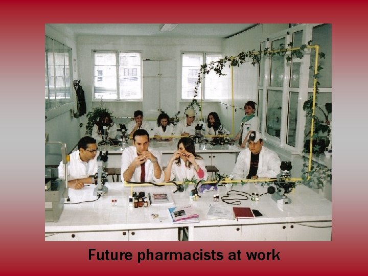 Future pharmacists at work 
