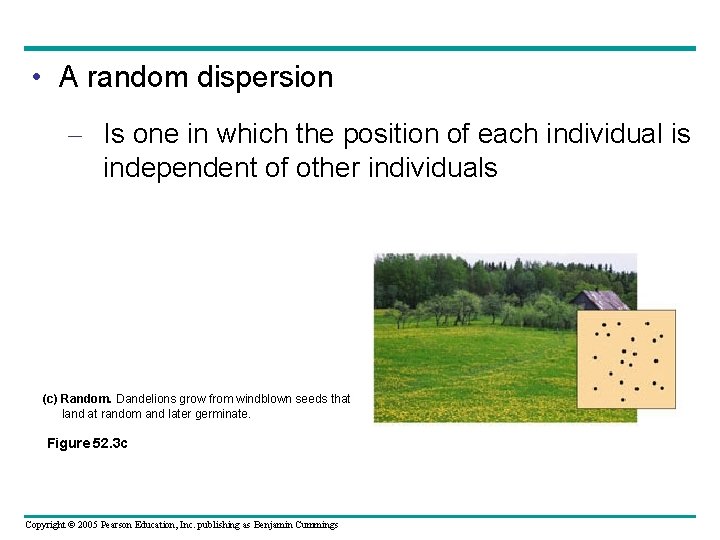  • A random dispersion – Is one in which the position of each