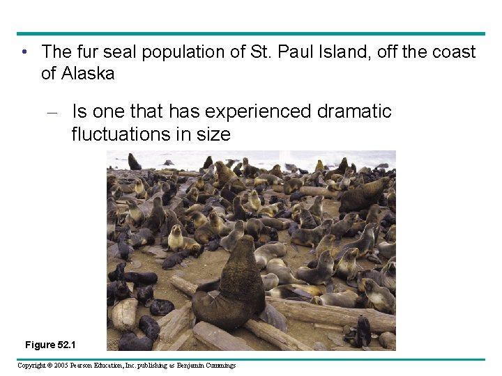  • The fur seal population of St. Paul Island, off the coast of