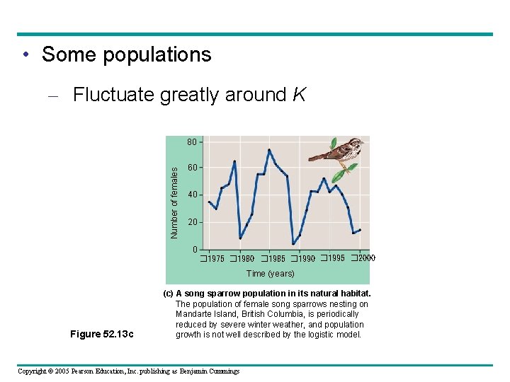  • Some populations – Fluctuate greatly around K Number of females 80 60